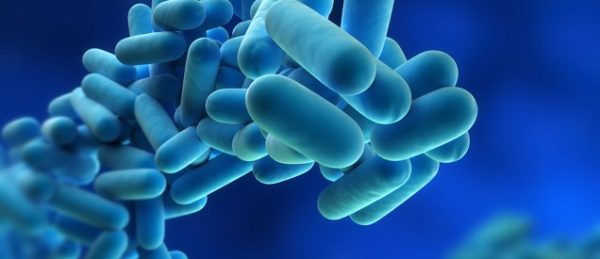 Cursos biocidas nivel especial – Gases y muy tóxicos