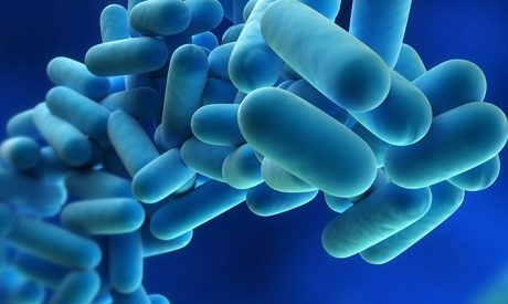 contenido del curso SEAG0212 Cursos biocidas nivel especial – Gases y muy tóxicos