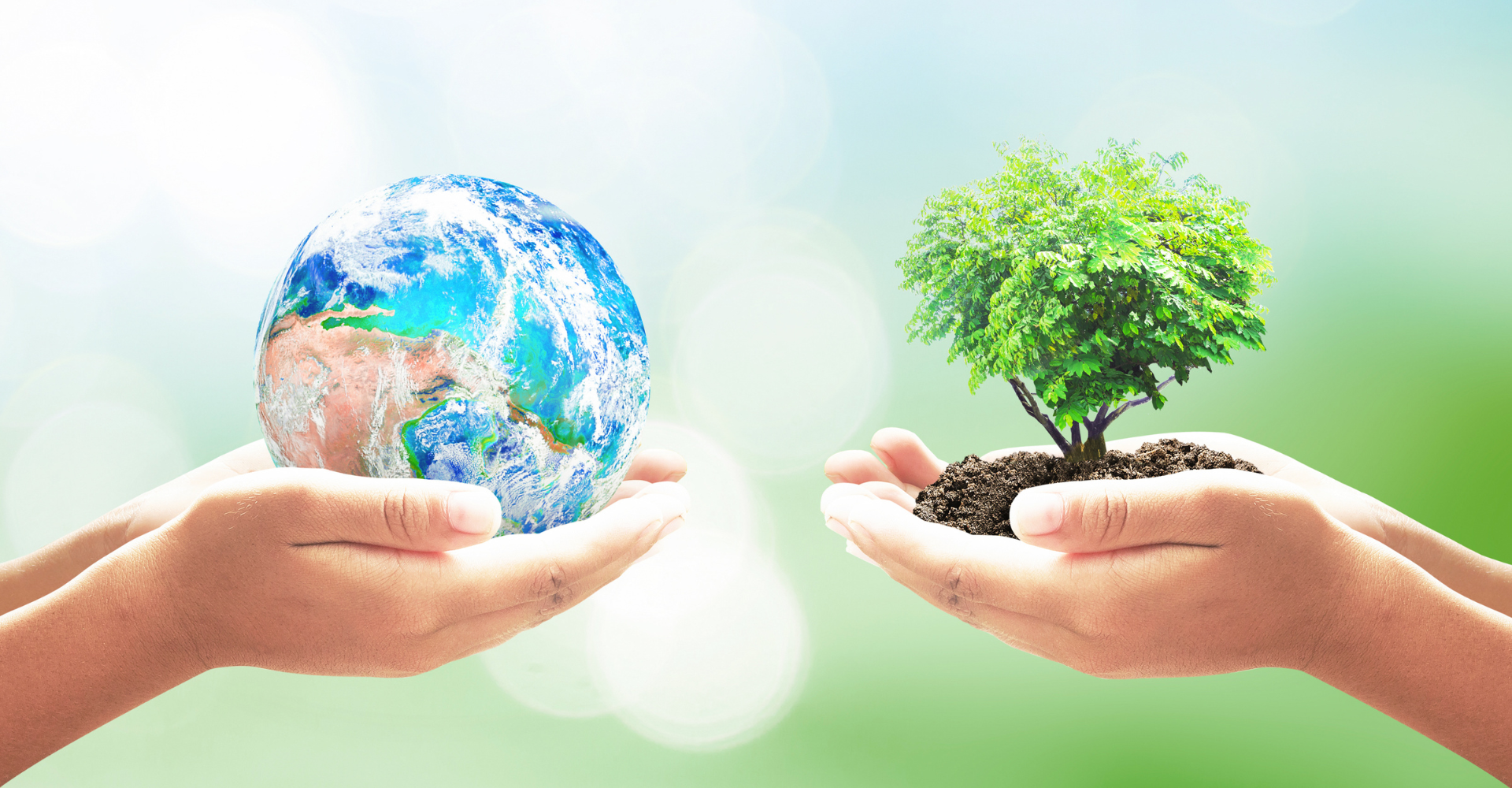 gestion_ambiental